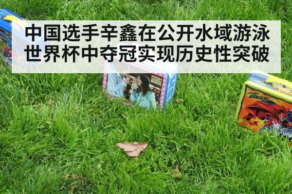 中国选手辛鑫在公开水域游泳世界杯中夺冠实现历史性突破