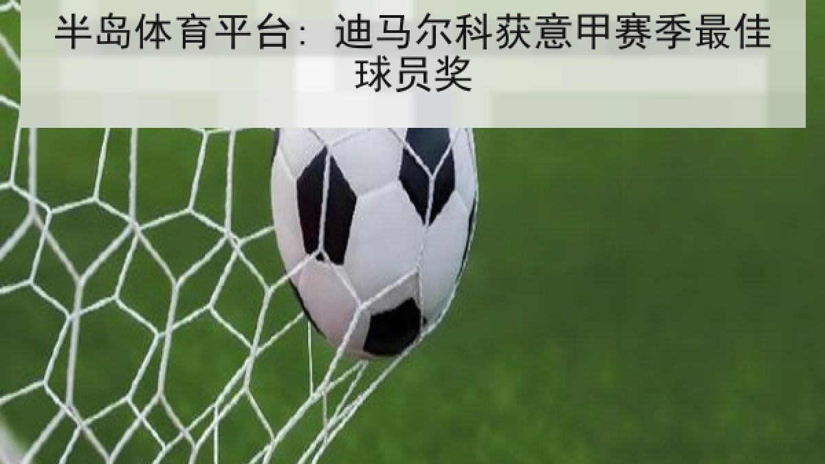 半岛体育平台: 迪马尔科获意甲赛季最佳球员奖 半岛体育平台: 迪马尔科获意甲赛季最佳球员奖